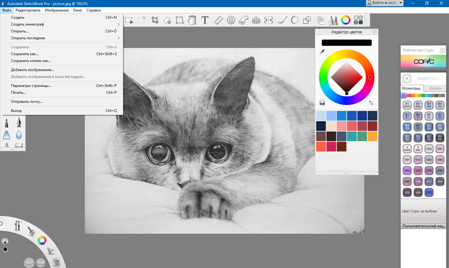 Приложение скетчбук. Autodesk Sketchbook Pro 2021 v8.8.0. Sketchbook программа для рисования. Скетчбук программа. Autodesk Sketchbook программа.