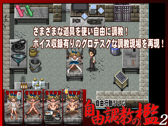 Quicksilver - Freestyle Basement Torture 2 (jap) Foreign Porn Game