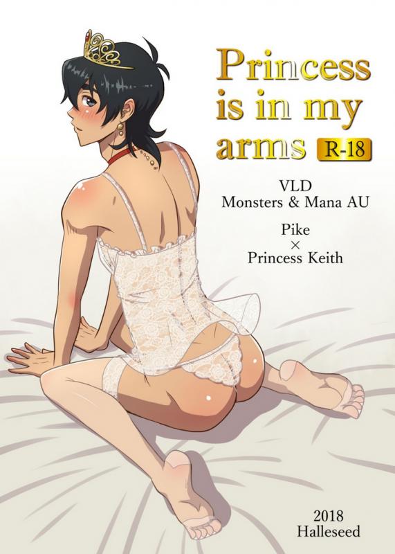 Halleseed - Princess is in My Arms Hentai Comic